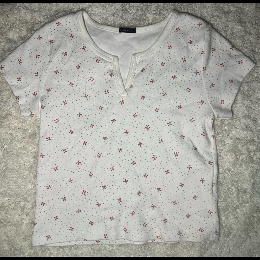 Brandy melville crop tee